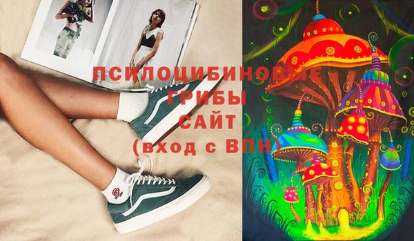 гашик Заволжск