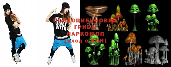 гашик Заволжск