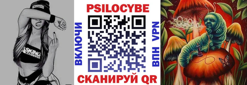 Купить  Моршанск  Псилоцибиновые грибы Psilocybine cubensis 